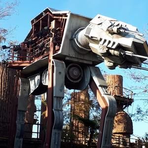 Meet your Posher, Madonna